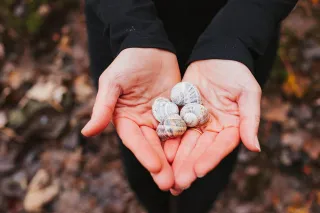 Community, Nature & Entrepreneurship as Catalysts for Change