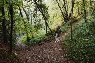 The Rhythm of Autumn