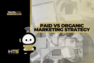 Paid vs Organic Marketing Strategy