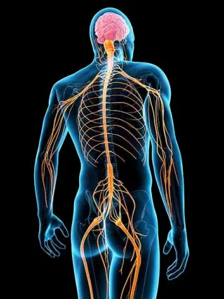 Understanding Chronic Pain: Causes, Symptoms, and Modern Treatments