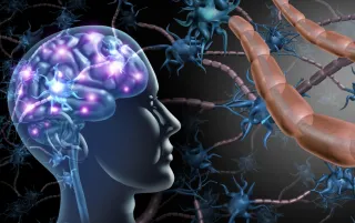 Reclaim Your Life With The Power Of Neuroplasticity!
