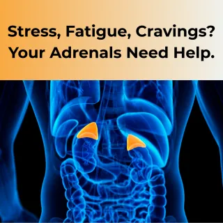 Feeling Exhausted? Here’s How to Support Your Adrenal Glands Naturally
