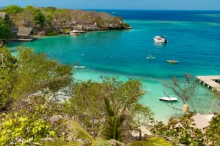 Vida bajo el mar: especies marinas y corales en las Islas del Rosario