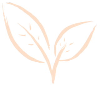 What are the Benefits of a Chemical Peel in West Chester?