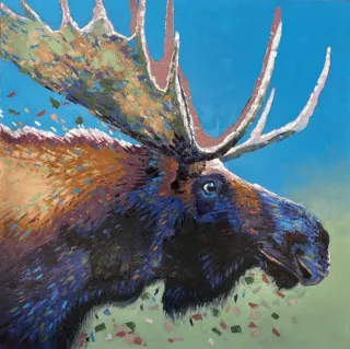 Nature Doesn’t Whisper, It Roars