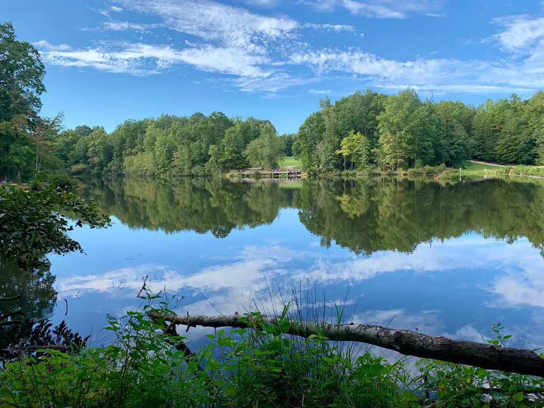 🌿 Explore Nature at Reedy Creek Nature Center & Preserve in Charlotte