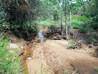 Discovering Alto Pit OHV
