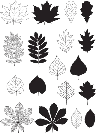 Adjusting with the Seasons