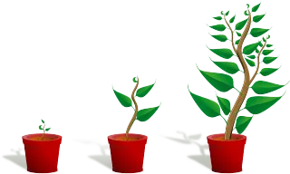 Stop Guessing and Start Growing with Powrful Media