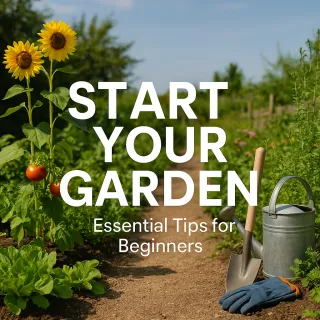 Your Beginner’s Guide to Starting a Thriving Garden