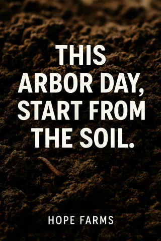 Healthy Soil, Happy Plants: Why Soil & Fertilizer Matter More Than You Think