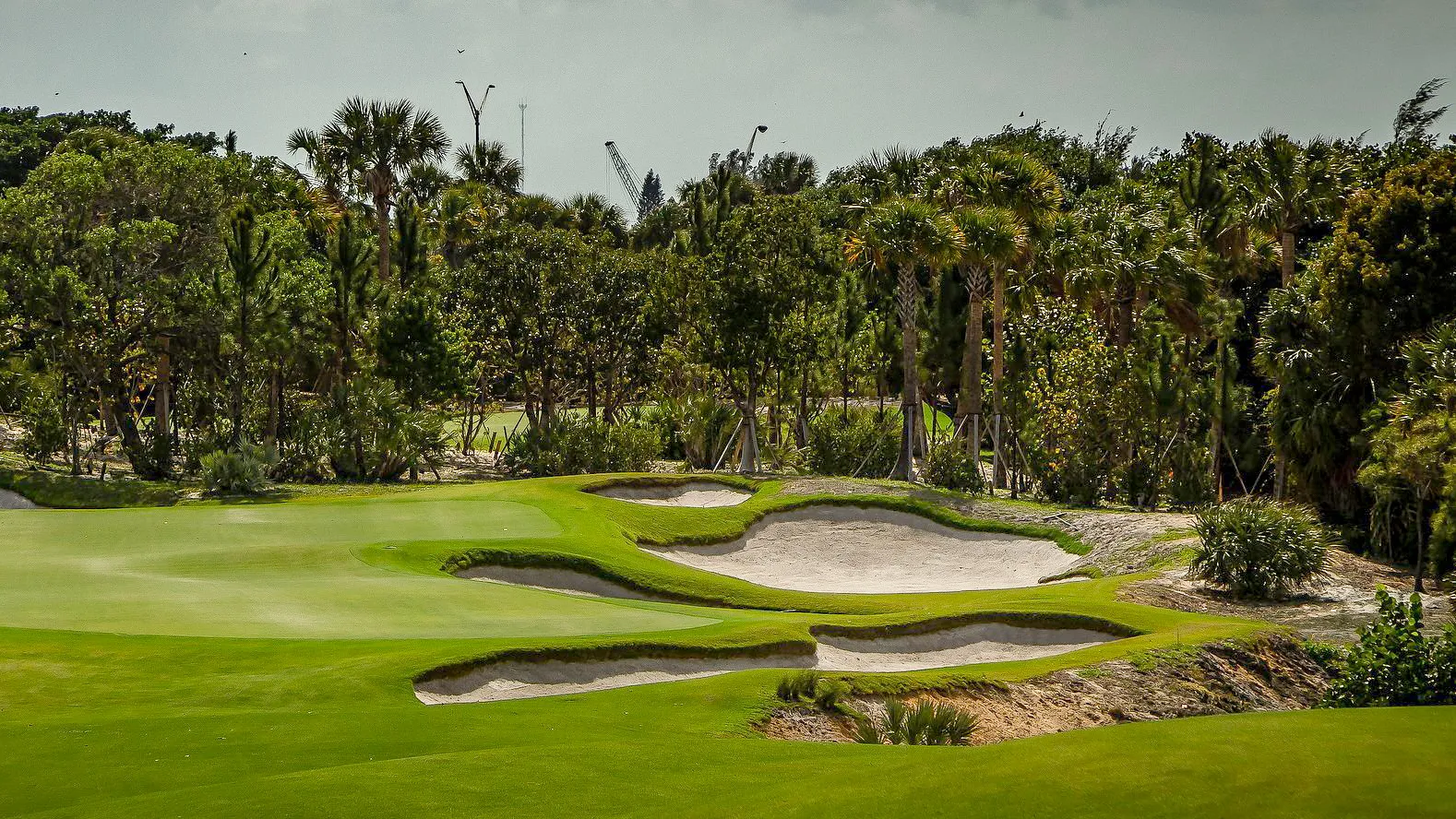 ⛳️Tee Off in Style at Palms Golf Course in Edinburg, TX! 