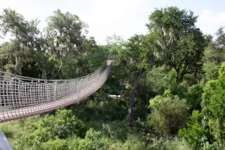 🌴 Discovering the Texas Tropical Trail in Edinburg – A Journey Through Culture, Nature, and History