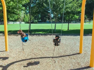 🐕Unleash the Fun at Edinburg Dog Park – A Tail-Wagging Adventure in Edinburg, TX