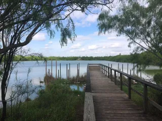 🌳 Longoria Park: Edinburg’s Perfect Spot for Fun, Fitness, and Family Time!