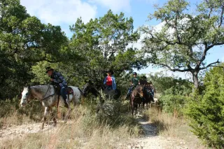 🐎 Gallop Into Adventure: Exploring Mission Equestrian Trails in Mission, TX