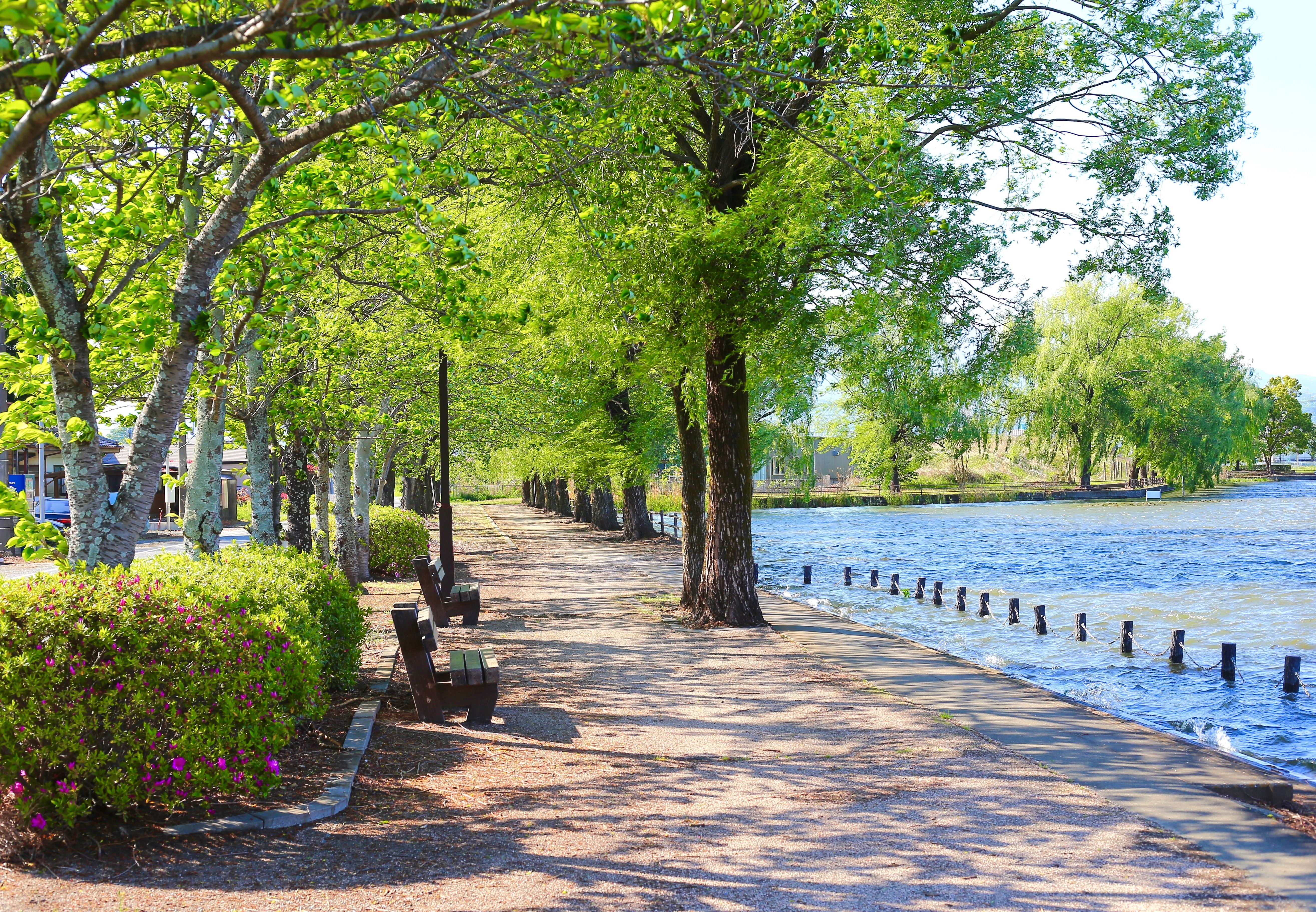 🌳A Day at Las Milpas Park: Mission’s Chill Spot for Outdoor Fun” | Mission, TX