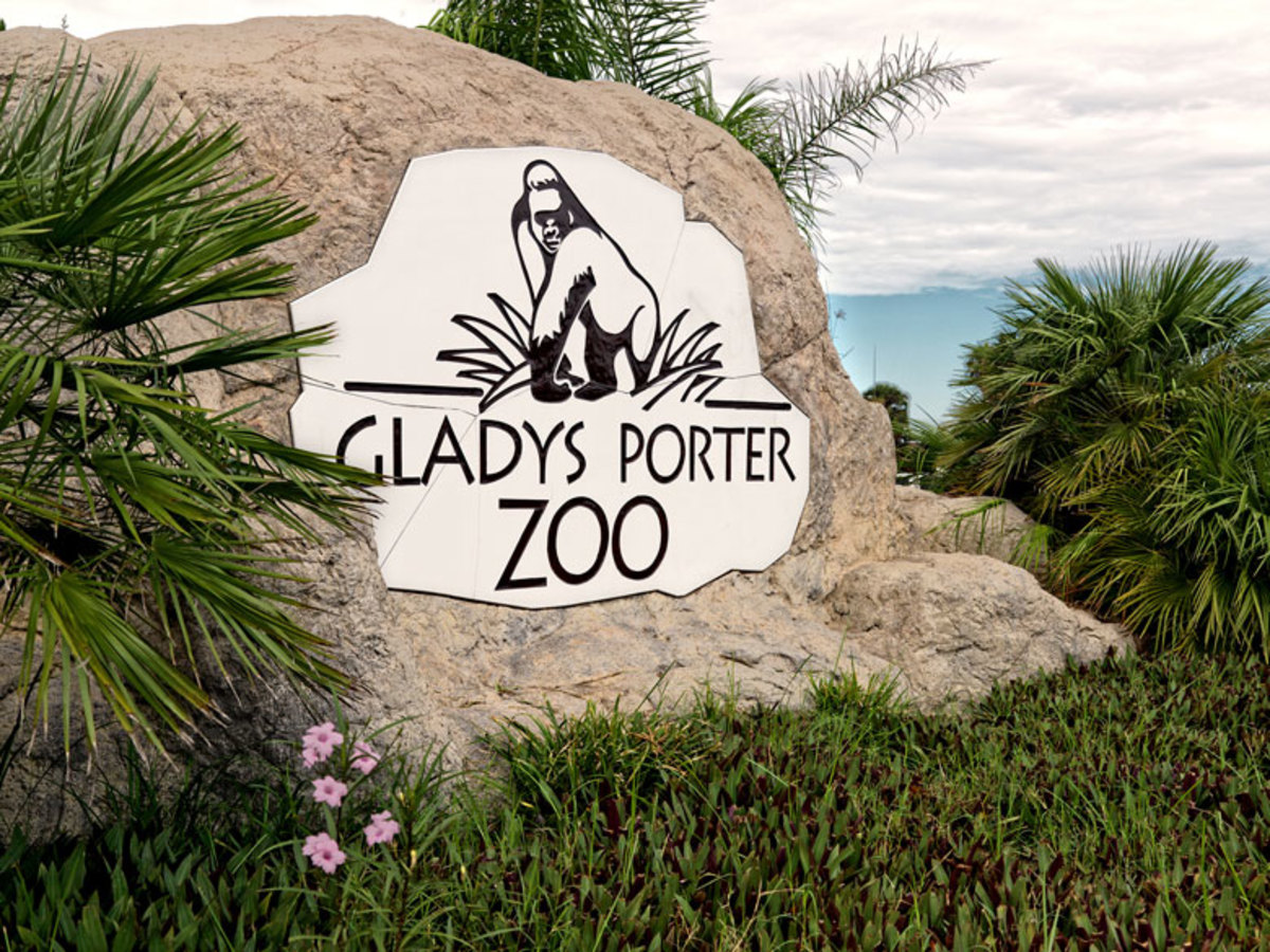 Wild Fun, Big Smiles & Family Memories at Gladys Porter Zoo 🦒🌴 | Near Mission, TX
