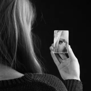 Understanding the Mirror Principle