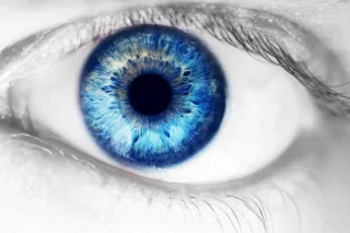 How Your Personality Changes The Way You See The World