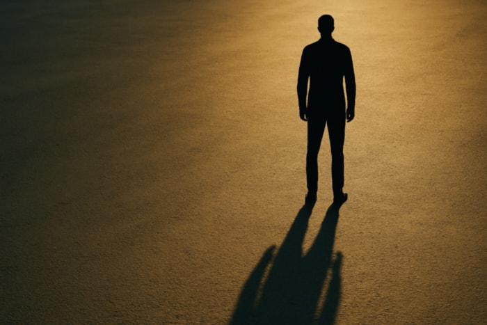 Beyond the Shadows: Reclaiming Wholeness in Leadership