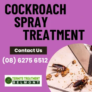 Professional Cockroach Spray Treatment Belmont