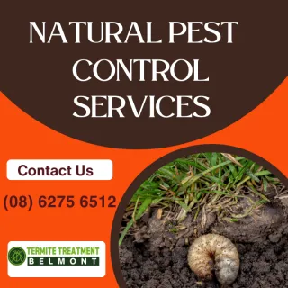 Best Organic Pest Control Products Belmont