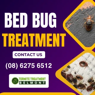 Now is the best time to get Bed Bug Treatment in Belmont