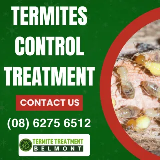 Termite Inspection