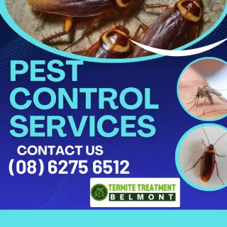 Top Benefits of Regular Pest Control Services for a Pest Free Home