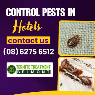 Hotel Pest Problems Exposed