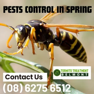 Spring Is Just Around The Corner