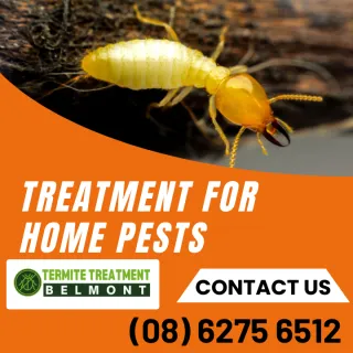 Australia’s Most Unwanted Home Pests