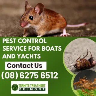 Pest Control Services For Boats & Yachts