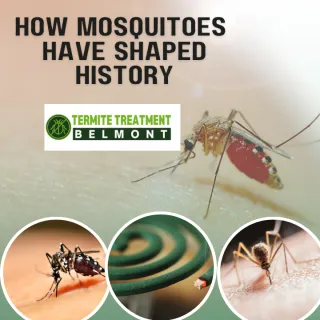 MOSQUITOES HAVE HAD A HISTORICAL IMPACT