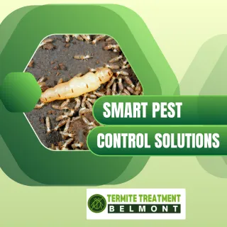 Why It Is Important to Get Pest Control