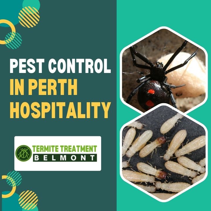 Pest Control in the Hospitality Industry in Perth