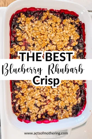 THE BEST BLUEBERRY RHUBARB CRISP!