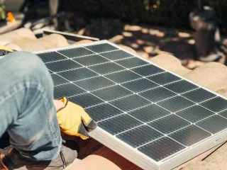 Secure Your Solar Panels: Effective and Affordable Bird Control Solutions