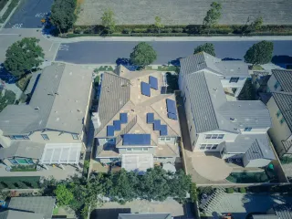 Fortify Your Property: Our Unbeatable Professional Bird Spike Installation