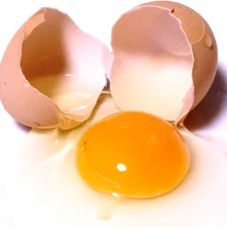 FAQ image