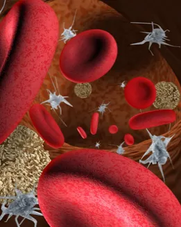 Is PRP (Platelet-Rich Plasma)the Future of Injury Treatment?