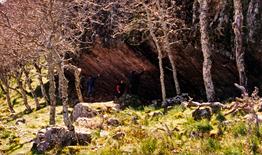 Descubre el Morrón del Pino: Arte Rupestre en las Alturas de Fuencaliente