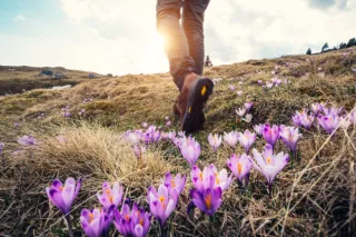 Coaching vs. Therapy: Understanding the Difference and Finding What Works for You