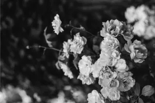 The Two Sacred Keys to Embodying the Kingdom of Heaven: Reclamation and Creation
