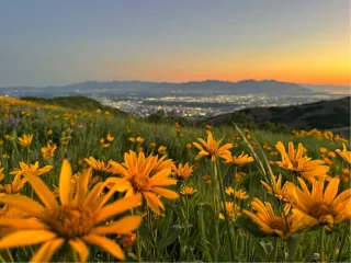 When Mercy Comes First: What Shifted My View of God’s Justice
