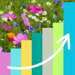 Tracking Our Blooming Impact | Measuring CSR and Biodiversity Success