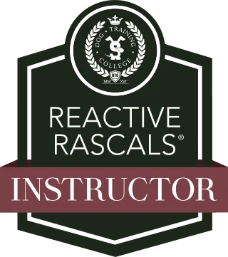 Understanding Dog Reactivity: Causes, Effects, and Solutions