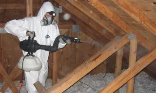 The Benefits of Getting a Professional Pest Control Service