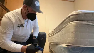 Bed Bugs How Do They Spread? Easy Tips to Keep Them Away